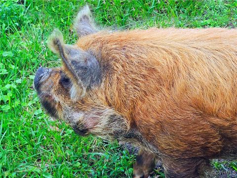 Tiny photo for 3066 Bethel Beach Road, Mathews, VA 23130 (MLS # 2517584)