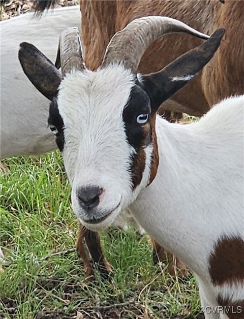 Tiny photo for 3066 Bethel Beach Road, Mathews, VA 23130 (MLS # 2517584)