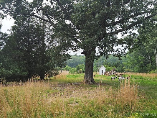 3066 BETHEL BEACH RD, ONEMO, VA 23130 - Image 2de079583df4b6c7fd3223bc4820fcd6/308602543