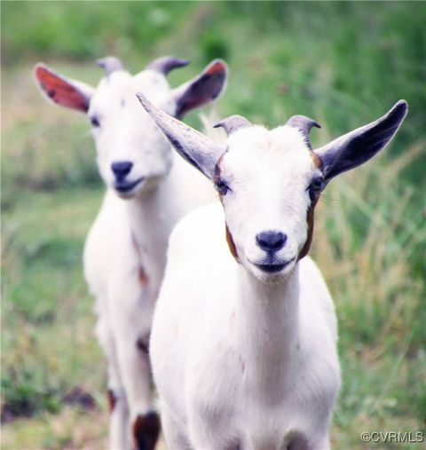 Tiny photo for 3066 Bethel Beach Road, Mathews, VA 23130 (MLS # 2517584)