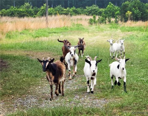 Tiny photo for 3066 Bethel Beach Road, Mathews, VA 23130 (MLS # 2517584)