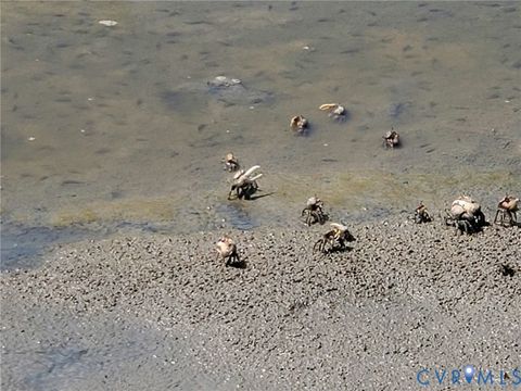 Tiny photo for 3066 Bethel Beach Road, Mathews, VA 23130 (MLS # 2517584)