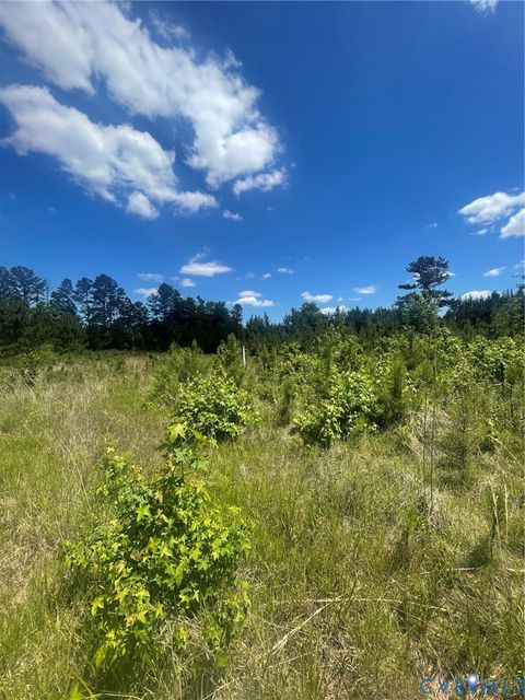 Tiny photo for TBD Old Elam Cemetary, Charles City, VA 23230 (MLS # 2614969)