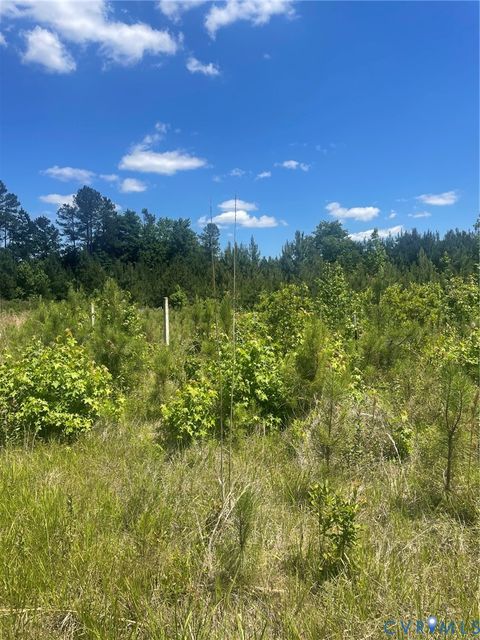 Tiny photo for TBD Old Elam Cemetary, Charles City, VA 23230 (MLS # 2614969)
