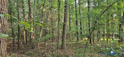 Photo of 3700 Peachtree Street, South Chesterfield, VA 23834 (MLS # 2527146)