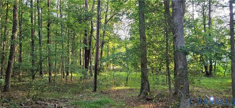 Tiny photo for 3700 Peachtree Street, South Chesterfield, VA 23834 (MLS # 2527146)