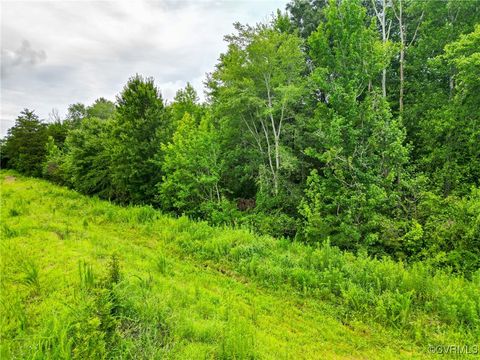 Tiny photo for 23935 Prince Edward Highway, Rice, VA 23966 (MLS # 2519565)