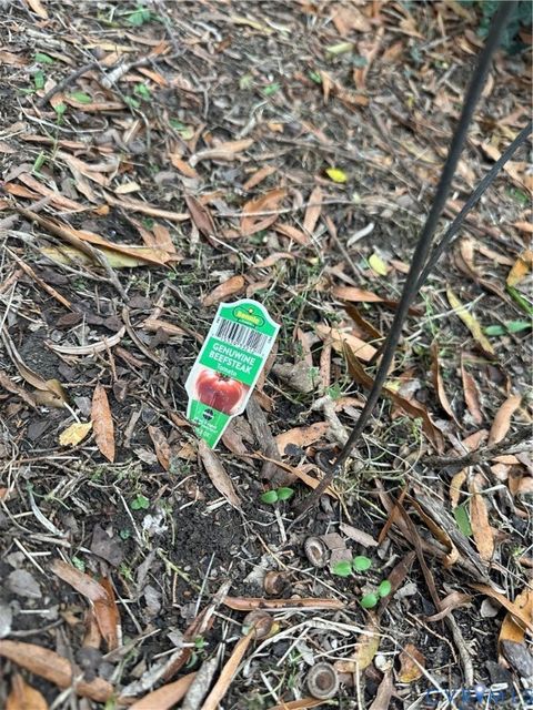 Tiny photo for 1200 Juniper Street, Richmond, VA 23222 (MLS # 2533568)