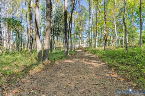Tiny photo for 3820 Upshaw Road, Aylett, VA 23009 (MLS # 2628945)