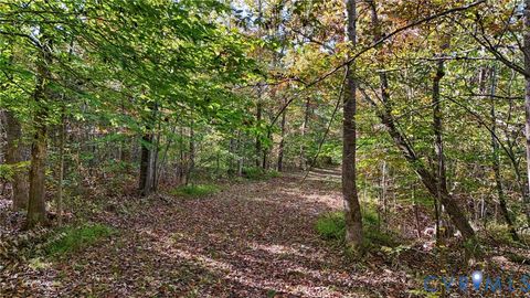 Tiny photo for 00 Allen Rosen Road, Dillwyn, VA 22936 (MLS # 2612456)