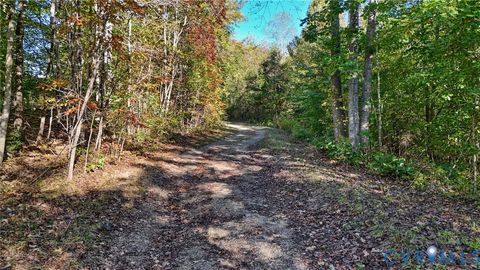 Tiny photo for 00 Allen Rosen Road, Dillwyn, VA 22936 (MLS # 2612456)