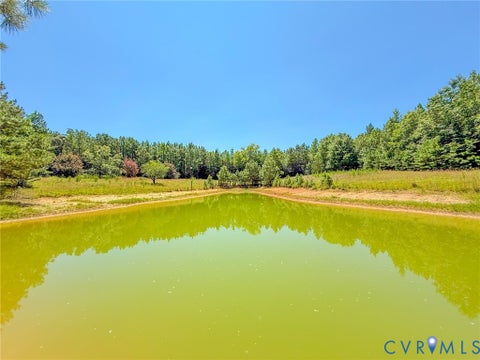 Tiny photo for 0 Flat Rock Road, Blackstone, VA 23824 (MLS # 2622584)