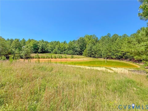 Photo of 0 Flat Rock Road, Blackstone, VA 23824 (MLS # 2622584)