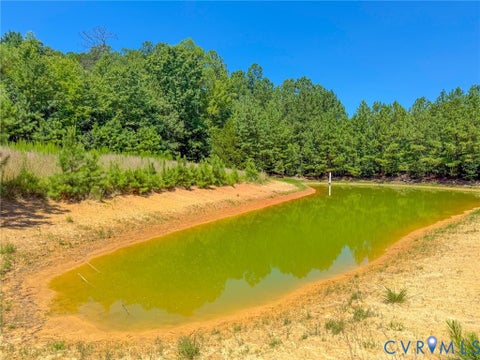 Tiny photo for 0 Flat Rock Road, Blackstone, VA 23824 (MLS # 2622584)