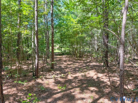 Tiny photo for 0 Flat Rock Road, Blackstone, VA 23824 (MLS # 2622584)