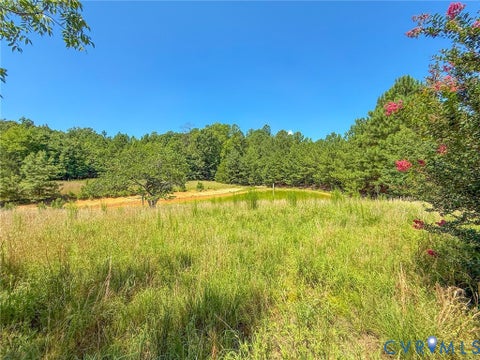 Tiny photo for 0 Flat Rock Road, Blackstone, VA 23824 (MLS # 2622584)