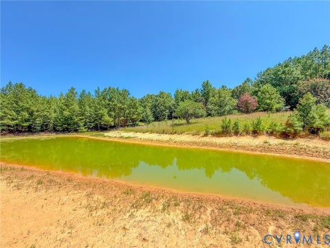 Tiny photo for 0 Flat Rock Road, Blackstone, VA 23824 (MLS # 2622584)