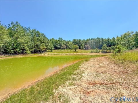 Tiny photo for 0 Flat Rock Road, Blackstone, VA 23824 (MLS # 2622584)
