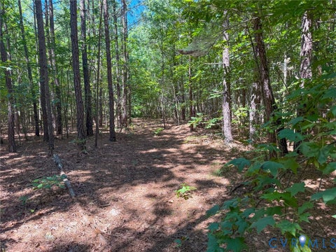 Tiny photo for 0 Flat Rock Road, Blackstone, VA 23824 (MLS # 2622584)