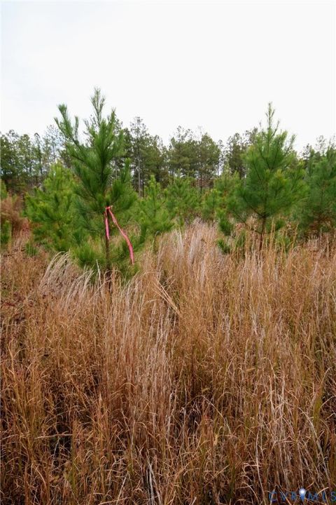 Tiny photo for 0 Ridge Road, Arvonia, VA 23004 (MLS # 2530228)