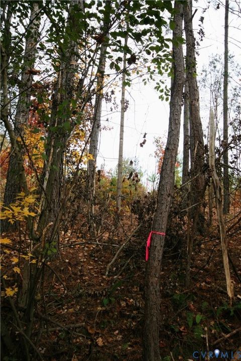 Tiny photo for 0 Ridge Road, Arvonia, VA 23004 (MLS # 2530228)