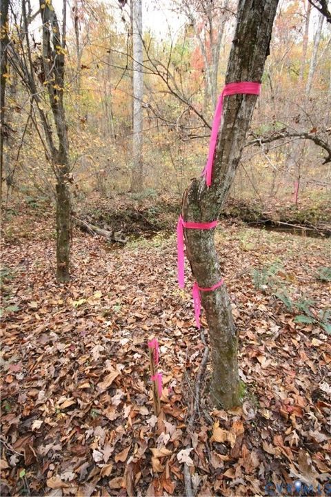 Tiny photo for 0 Ridge Road, Arvonia, VA 23004 (MLS # 2530228)