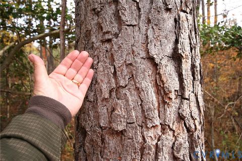 Tiny photo for 0 Ridge Road, Arvonia, VA 23004 (MLS # 2530228)