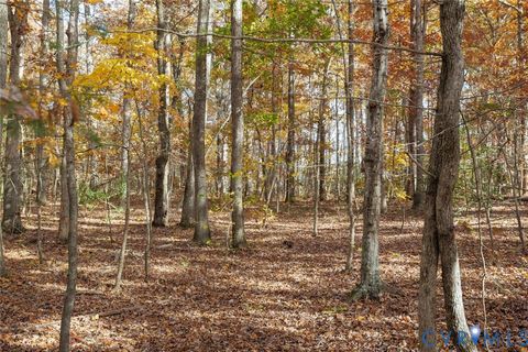 Tiny photo for 00 Maidens Road, Maidens, VA 23102 (MLS # 2533404)