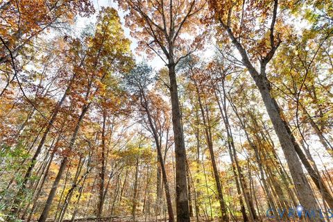 Tiny photo for 00 Maidens Road, Maidens, VA 23102 (MLS # 2533404)