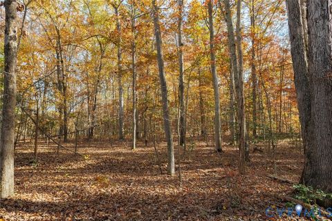 Tiny photo for 00 Maidens Road, Maidens, VA 23102 (MLS # 2533404)