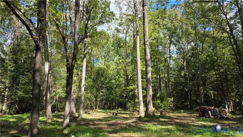 Tiny photo for 349 Morris Lane, Shacklefords, VA 23156 (MLS # 2608994)