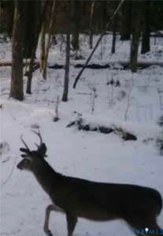 Powhatan, Virginia 23139, United States, ,Land,Active,207647