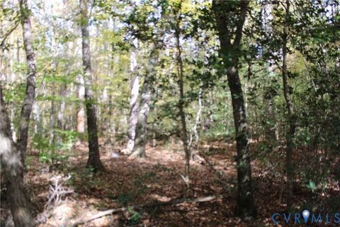 Tiny photo for TBD Courthouse Road, Providence Forge, VA 23140 (MLS # 2529932)