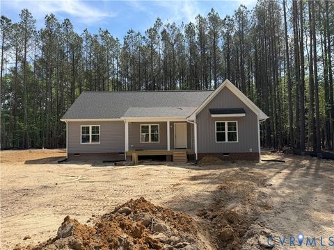Tiny photo for 10123 Duncan Road, Dinwiddie, VA 23803 (MLS # 2610016)
