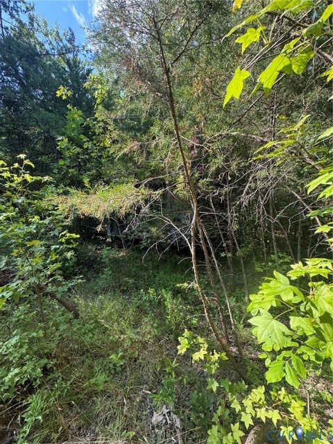 Tiny photo for 0 Three Notch Road, Kents Store, VA 23084 (MLS # 2621490)