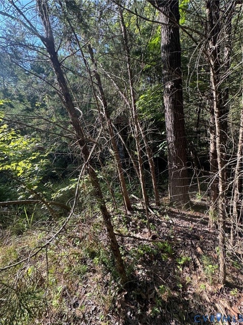 Tiny photo for 0 Three Notch Road, Kents Store, VA 23084 (MLS # 2621490)