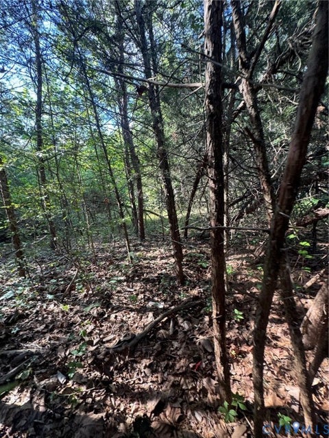 Tiny photo for 0 Three Notch Road, Kents Store, VA 23084 (MLS # 2621490)