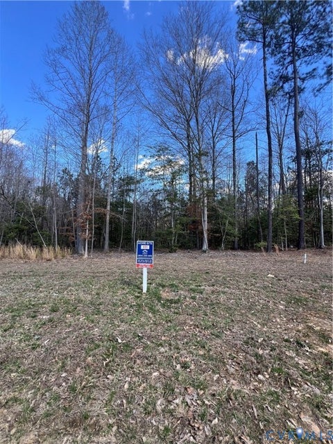Tiny photo for 9195 Terroir Lane, New Kent, VA 23124 (MLS # 2626313)