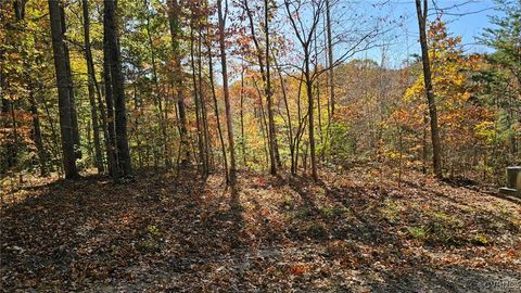 5301 Chimney Springs Drive Goochland VA 23063