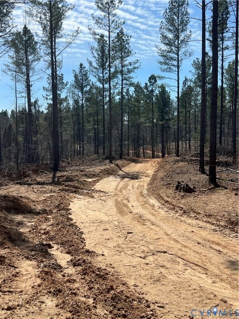 Tiny photo for 2028 Cook Road, Powhatan, VA 23139 (MLS # 2625753)