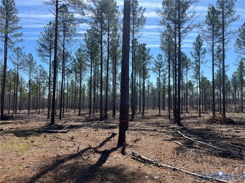 Tiny photo for 2028 Cook Road, Powhatan, VA 23139 (MLS # 2625753)