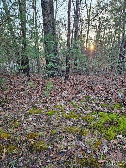 Tiny photo for 291 Land Or Drive, Ruther Glen, VA 22546 (MLS # 2505537)