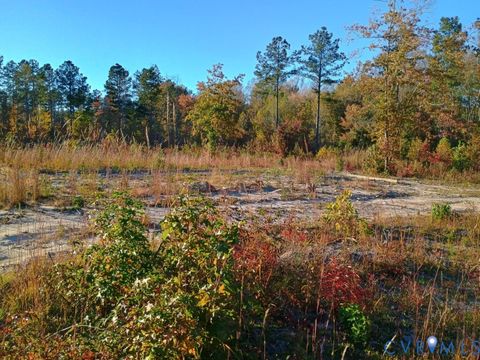 Photo of 0 Baird Road, Gasburg, VA 23857 (MLS # 2530251)