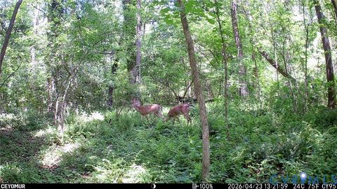 Tiny photo for 3060 Kingsland Road, North Chesterfield, VA 23237 (MLS # 2610584)