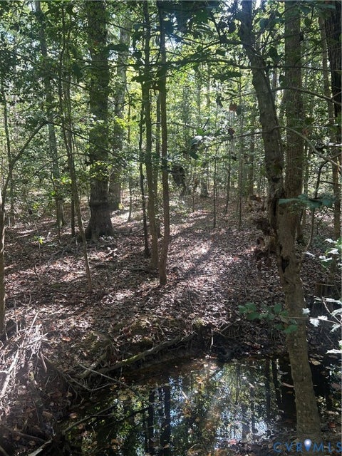 Tiny photo for 4519 Morninghill Drive DR, Prince George, VA 23842 (MLS # 2624248)