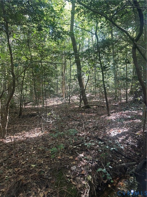 Tiny photo for 4519 Morninghill Drive DR, Prince George, VA 23842 (MLS # 2624248)