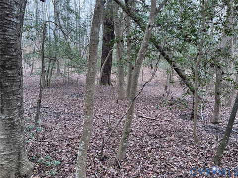 Tiny photo for TBD Clarke Road, New Kent, VA 23089 (MLS # 2528083)