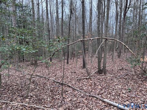 Tiny photo for TBD Clarke Road, New Kent, VA 23089 (MLS # 2528083)
