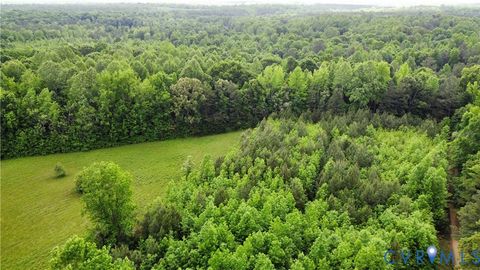 Tiny photo for TBD Clarke Road, New Kent, VA 23089 (MLS # 2528083)