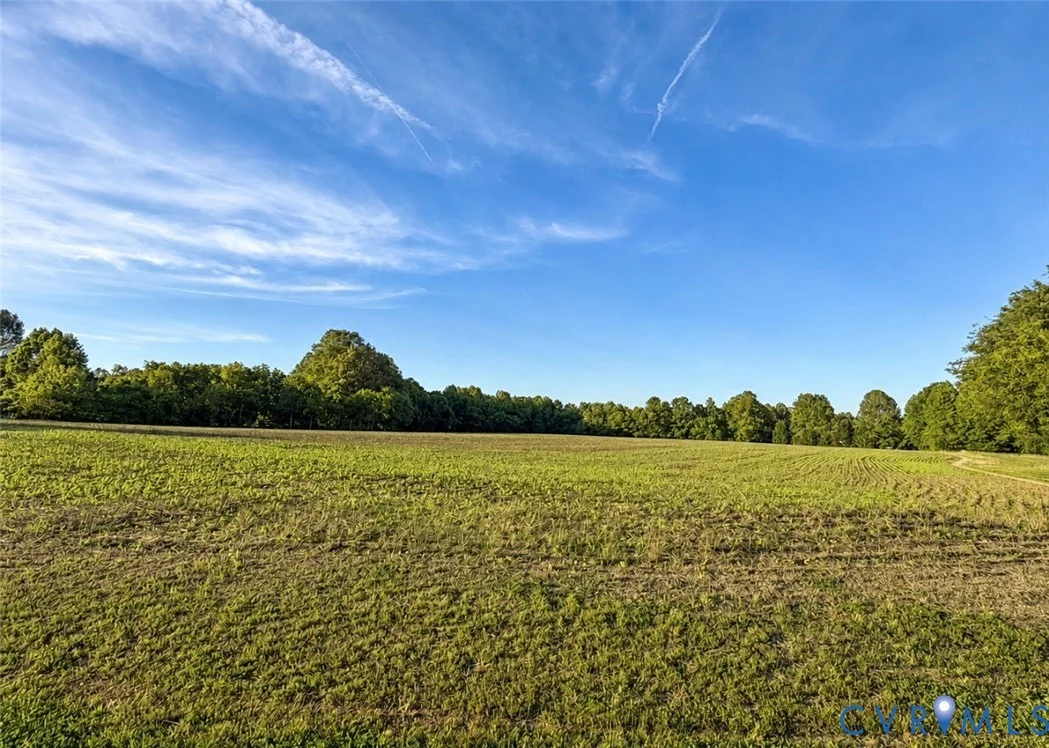 290 King Davids Lane